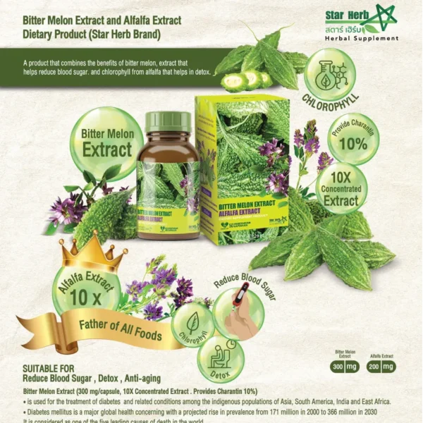 Gynostemma Extract Dietary Supplement Product